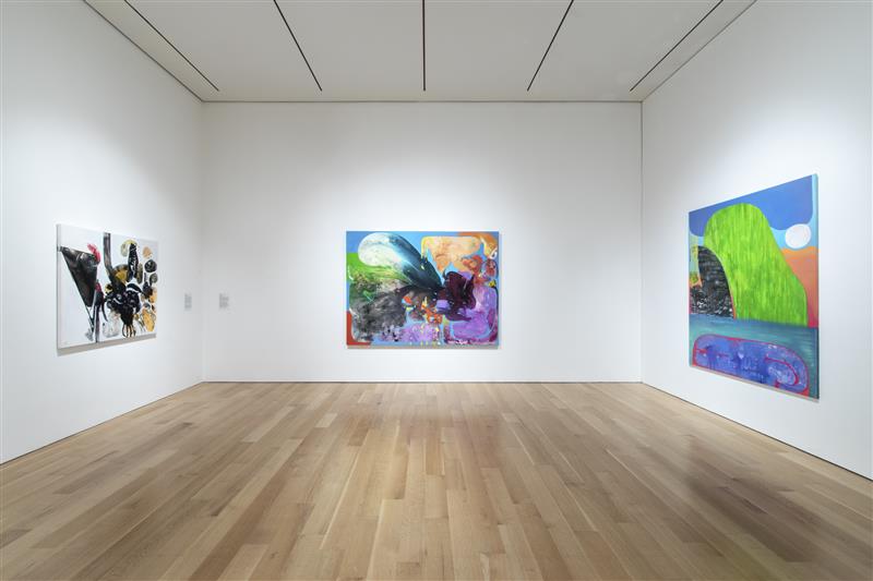 206 Speed Sora Mindy Best