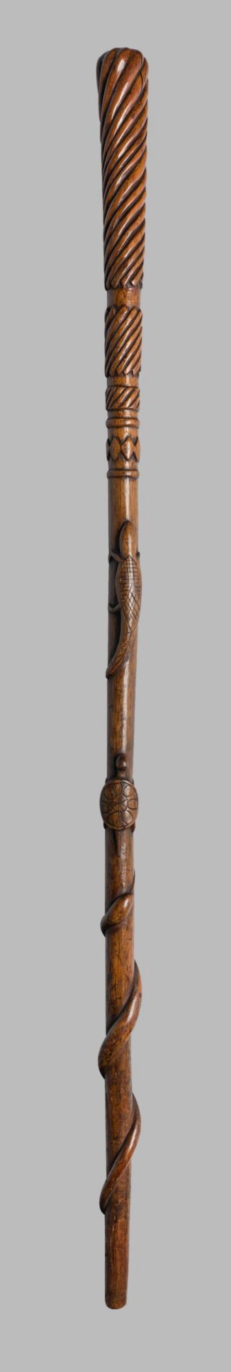 Walking Stick by Henry Gudgell