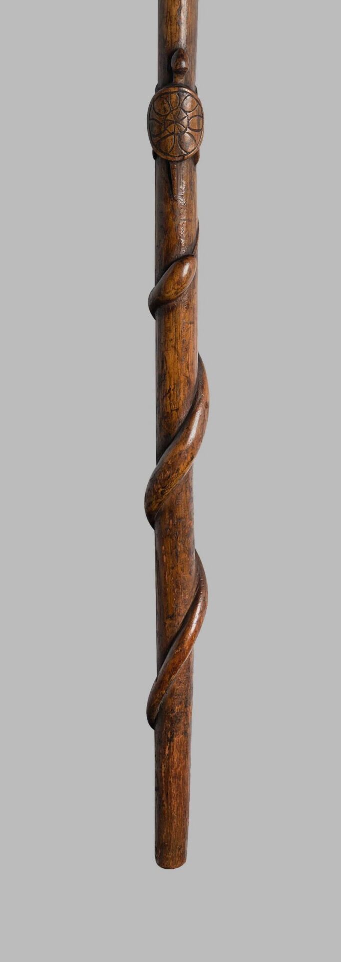 Walking Stick by Henry Gudgell