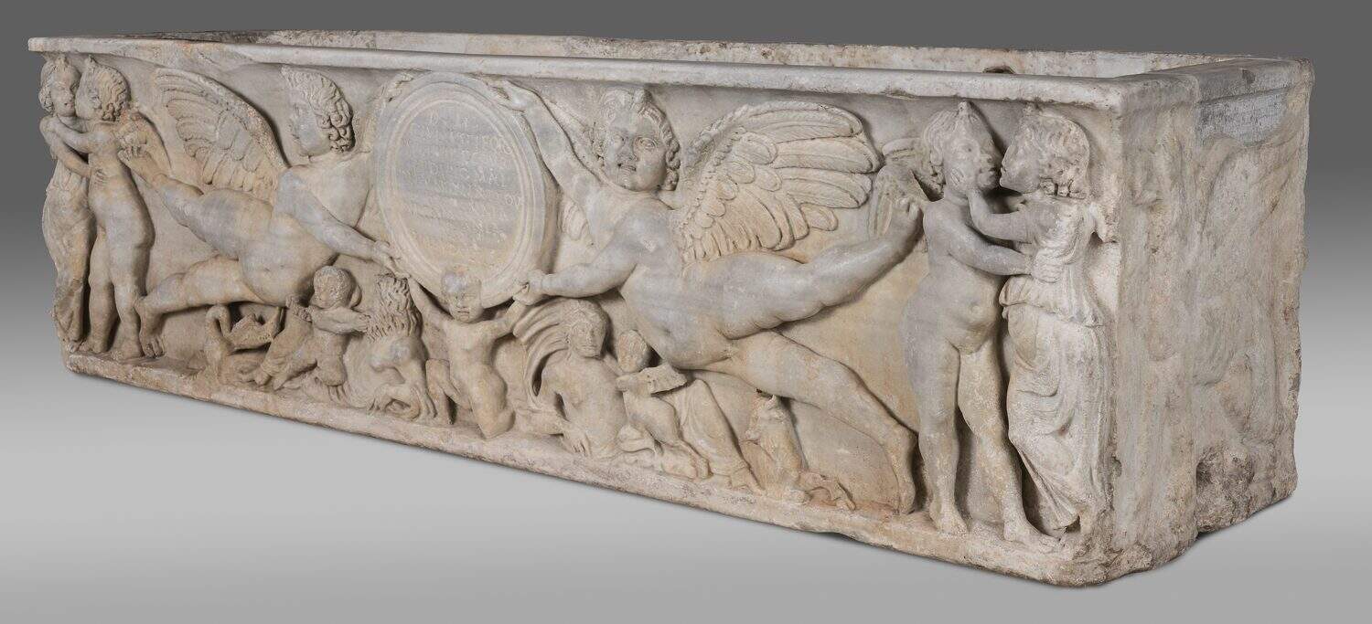 Sarco 20210222 015 1 1.jpg