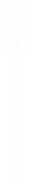Scroll to Discover